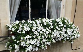 No 4 Ainslie'S Belvedere B&B